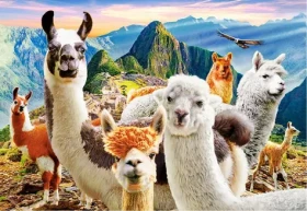 Castorland 104758 Selfie lam na Macchu Picchu
