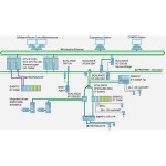 Murrelektronik TREE 16 TX Metal 2 GE 14 FE síťový switch RJ45, 16 portů, 10 / 100 / 1000 MBit/s