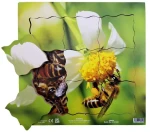 Just Jigsaws 600 Včela a její životní cyklus - dřevěné vrstvené puzzle