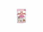 Royal Canin Kitten Instinctive In Jelly 12 x 85 g / Kapsíčka pro kočky (9003579311783)