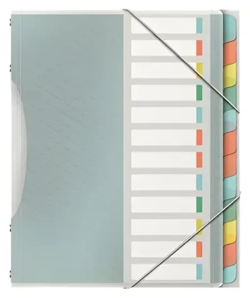 Esselte Colour'Ice mix barev / Třídicí desky / 12 listů / PP (626256)