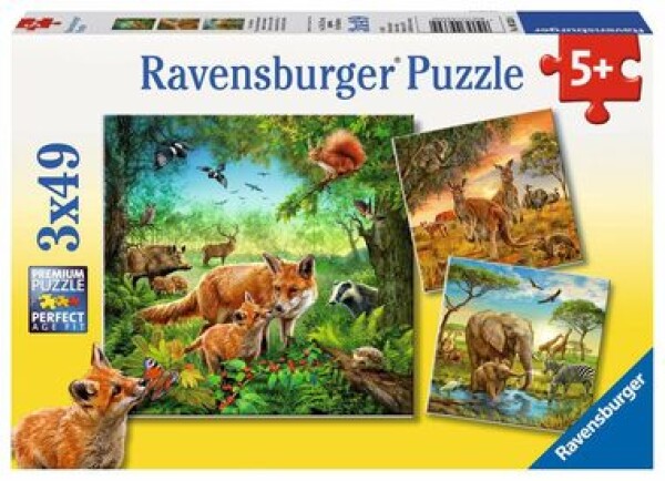 Ravensburger Zvířata na zemi