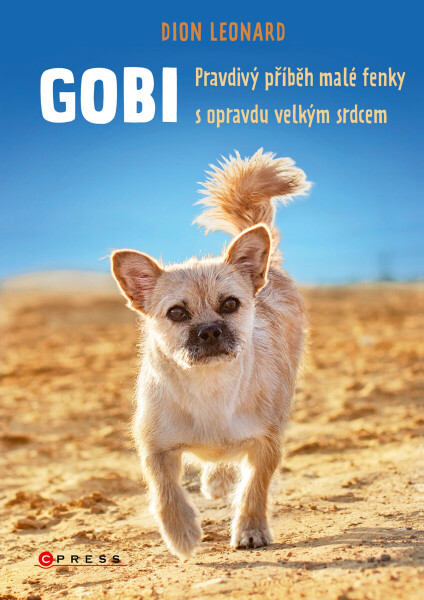 Gobi - Dion Leonard