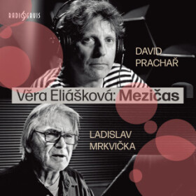 Mezičas - Ladislav Mrkvička, Věra Eliášková, David Prachař - audiokniha