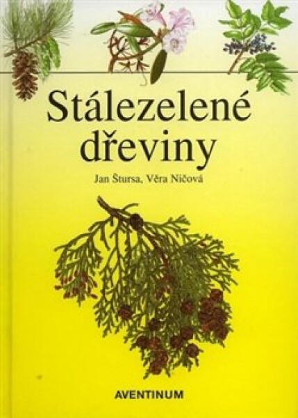 Stálezelené dřeviny - Věra Ničová