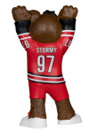 McFarlane Figurka Carolina Hurricanes NHL Stormy #97 Vynil Mascot