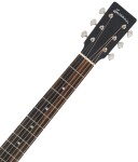 Eastman E1DL