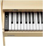 DONNER Oura R300