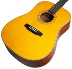 Tanglewood TW40 D AN E