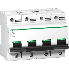 Schneider Electric A9N18478 A9N18478 elektrický jistič 63 A 500 V/DC