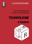 Technologie kostce
