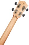 Flight DUB 38 EQ MAH-A