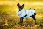 Magie zimní bunda pro psa Barva: Červená, Délka zad (cm): 31, Obvod hrudníku: 32 - 36 cm