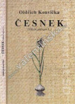 Česnek (Allium sativum Konvička Oldřich