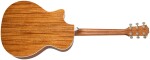 Taylor 514ce Next Generation