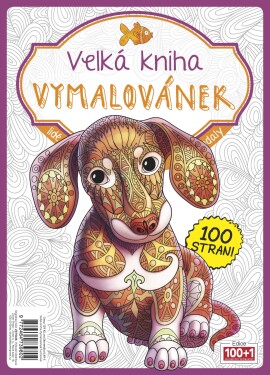 Velká kniha Vymalovánek (fuchsiová)