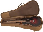 Taylor GS Mini-e Victorian Burst