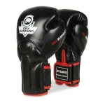 DBX BUSHIDO BB2 Boxerské rukavice (5902539016901)