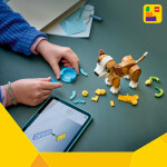 LEGO LEGO® Creator 31382 Roztomilá zvířata: Roztomilé štěňátko