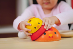 PlanToys PlanToys Vývoj kuřátek
