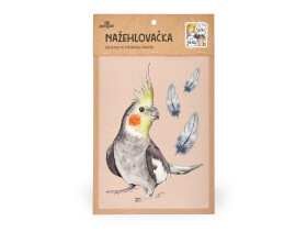 Nažehlovačka M 081 - Korela chocholatá