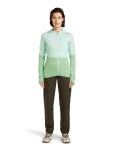 ICEBREAKER Wmns Mer 200 Realfleece Descender LS Zip H, Mint/Seaglass/Cb (vzorek) velikost: S