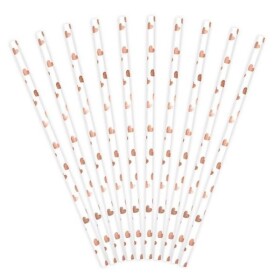 Ptakoviny.cz Brčka Srdíčka papírová 10ks