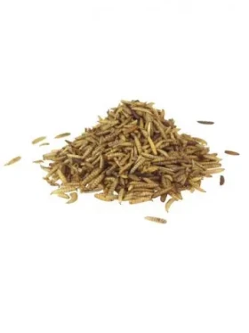 AnimALL Bráněnka 75 g (111801)