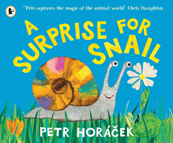 Surprise for Snail - Petr Horáček