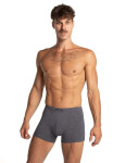 Lama boxerky M-1076 SZ A'2 M-2XL směs barev XXL