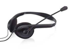 Sandberg USB headset s mikrofonem / otočný mikrofon / USB-A / černá (825-29)