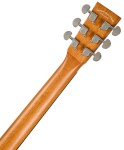Tanglewood TR2