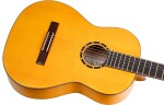 Ortega R170F