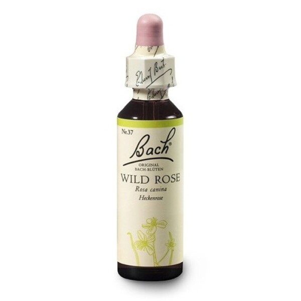 Planá šípková růže (Wild Rose) 20 ml- Bachovy esence Dr.Bach