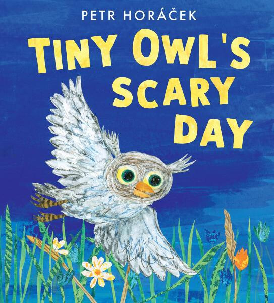 Tiny Owl's Scary Day - Petr Horáček