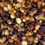 Nash Partikl Small Seed Mix - 2,5l,Nash Partikl Small Seed Mix - 2,5l