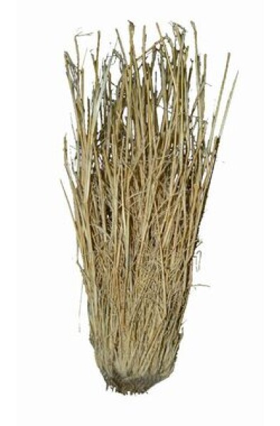 Lucky Reptile Grass Bushes 25-40 cm (FP-64075)