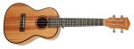 Cascha HH 2035 Concert Mahogany Ukulele Set