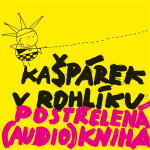 Postřelená (audio)kniha - Libor Propiska
