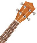 Bamboo U-21 Deep Ocean