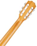 Taylor Academy 12e-N