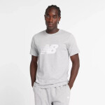 Tričko New Balance S/S Sport Graphic V Flying M MT43906AG pánské S