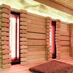 Infrazářič ECO 750 W, DARK se sklem