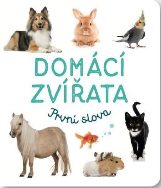 Domácí zvířata První slova