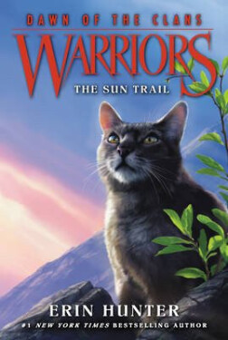 WARRIORS DAWN CLANS 1 SUN T PB