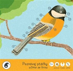 Poznávej ptáčky - učíme se hrou - Jitka Musilová