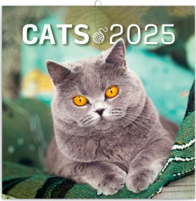 Poznámkový kalendář Kočky 2025, 30 30 cm