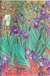 2025 DP 12 Van Gogh’s Irises