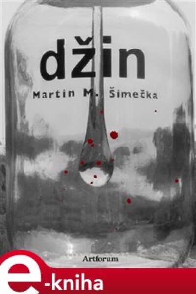 Džin - Martin M. Šimečka e-kniha