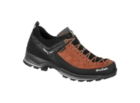 Salewa MTN Trainer GTX MS